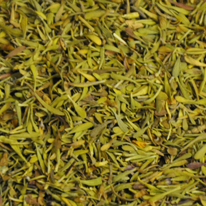 Thyme