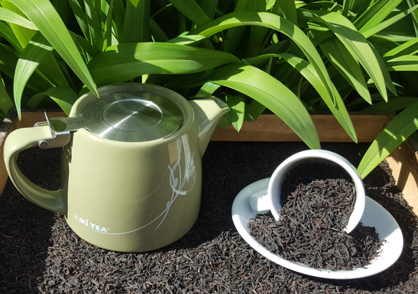 Yunnan Tea