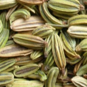 Fennel Seeds