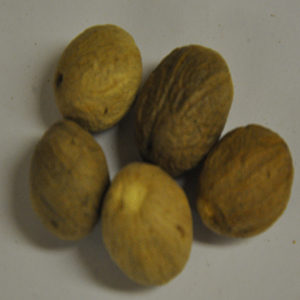 Nutmeg Whole